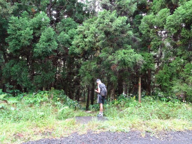 Le raccourci pour franchir la Ravine du Butor débute dans un virage de la route
