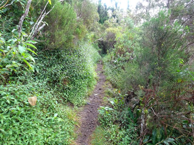 Le dernier sentier, très fréquenté, est bon jusqu'à la Fenêtre