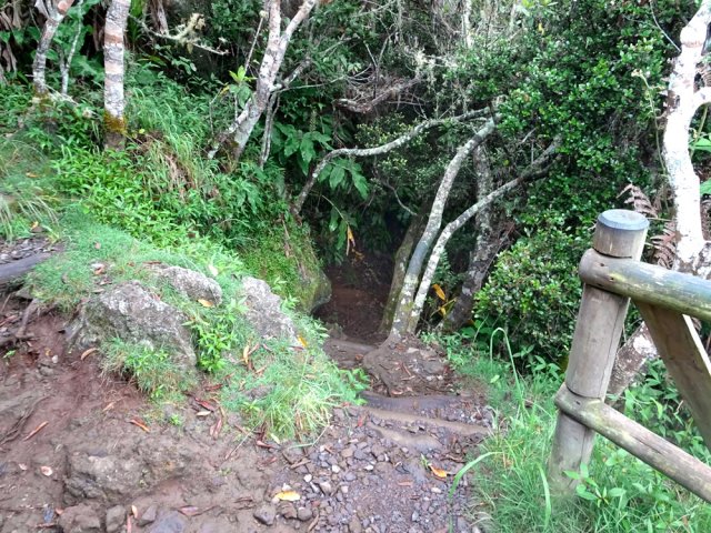 Le sentier plonge littéralement vers le Bras Patates