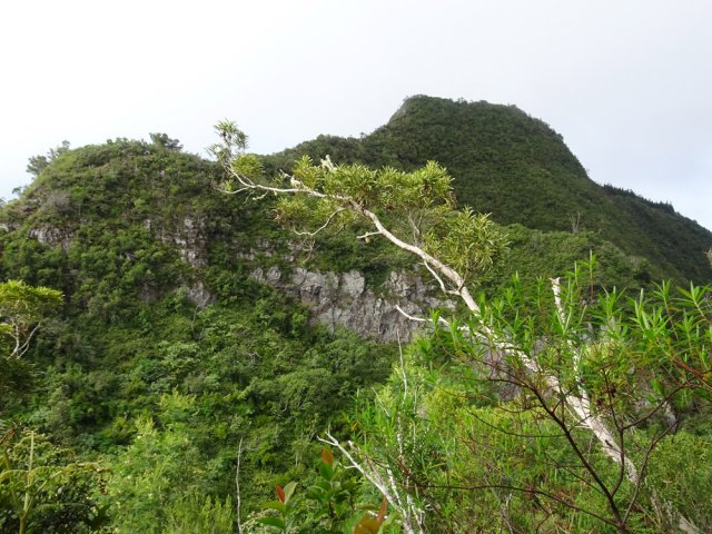 Le Piton Cabris juste en face avec le sentier très visible