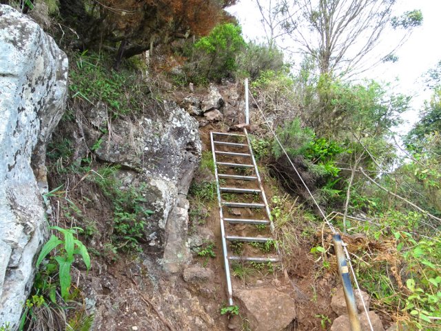 Une échelle facilite le franchissement d'une zone rocheuse