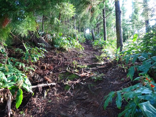Les autres parties de la montée sont correctes
