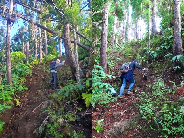 Quelques courtes montées un peu raides