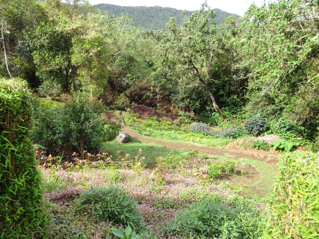L'aire de pique-nique au parking