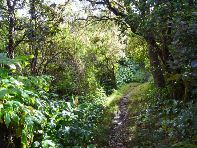 La montée est facile dans les bois de couleurs