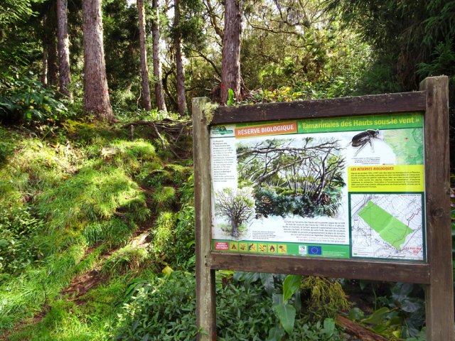 Un peu de lecture avant d 'entreprendre le sentier de Grande Terre