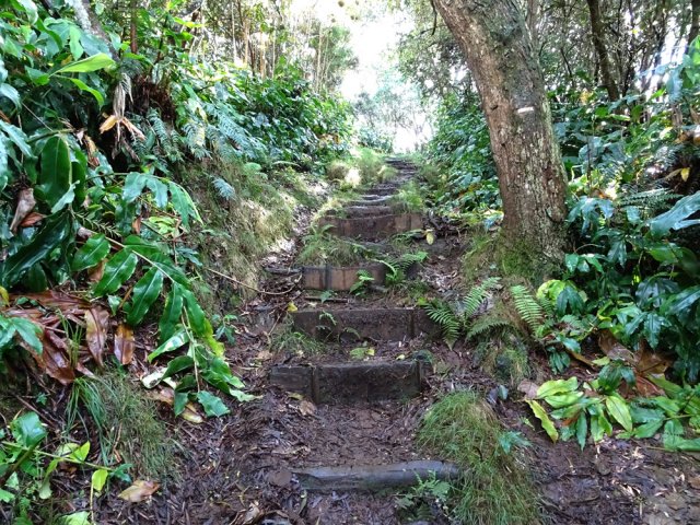 Quelques portions pentues sur hautes marches