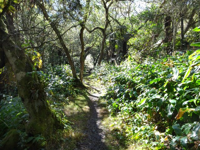 La montée n'est jamais difficile