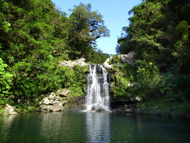 Belle cascade surmontée d'un gros arbre
