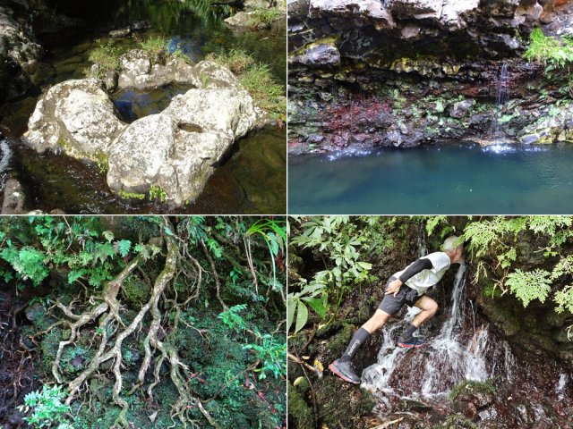 Ne pas manquer les curiosités naturelles de la région