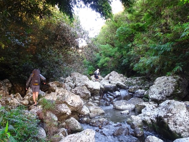 Une idée du cheminement en début de montée