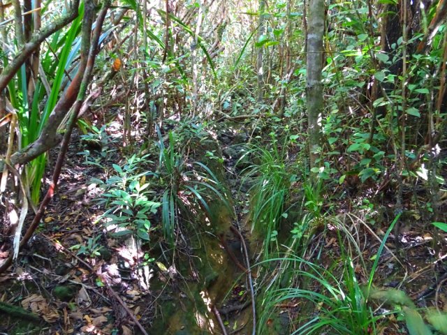 On marche sur d'anciens tronçons d'un sentier de bonne qualité à l'époque