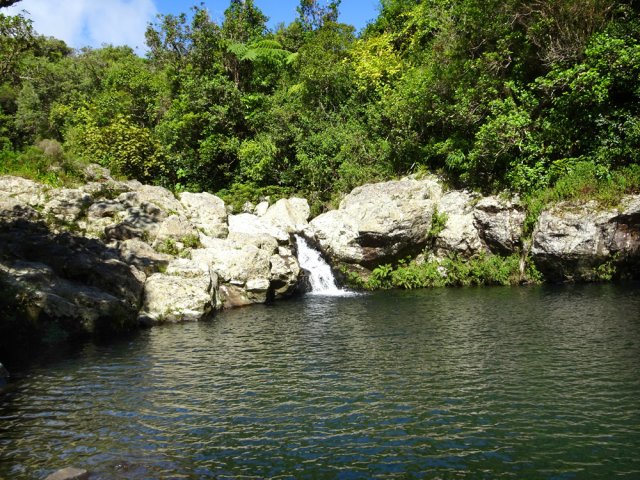 Un vaste bassin d'eau fraîche en marchant vers le haut de la Grande Chipie