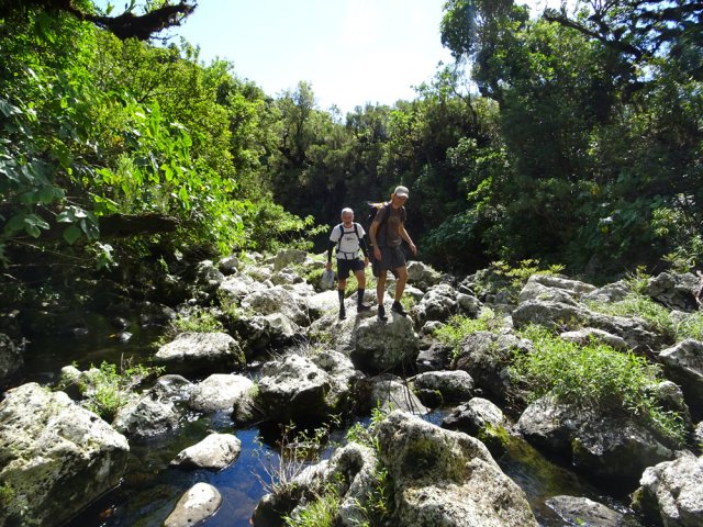 L'essentiel de la remontée s'effectue en sautant de roche en roche