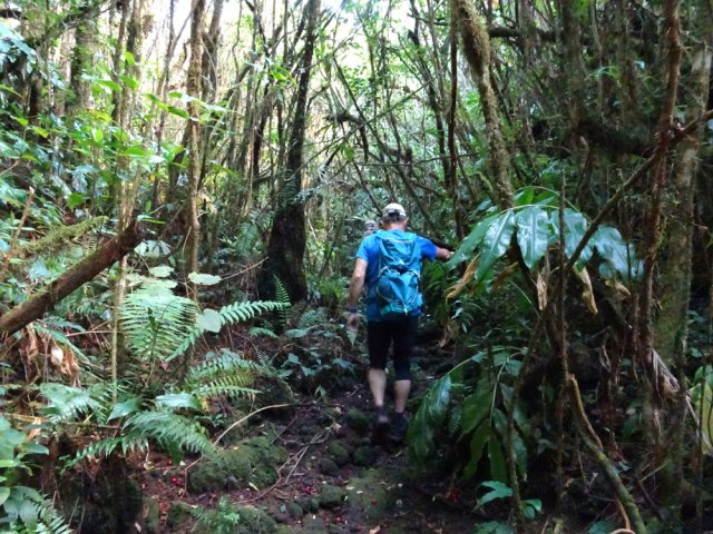 Le sentier emprunte assez longtemps un fond de ravine