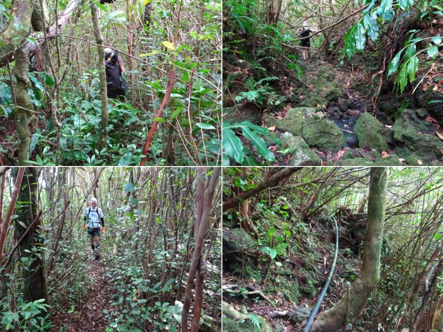 Quelques sections du sentier de retour vers Decotte