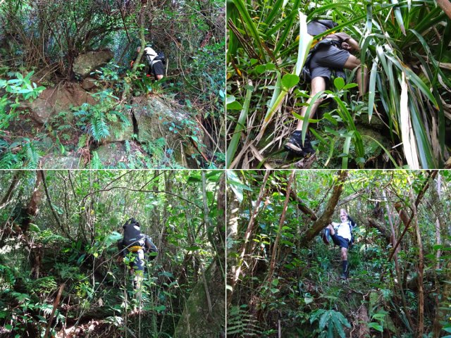 Quelques exemples des montées et descentes tout au long du parcours