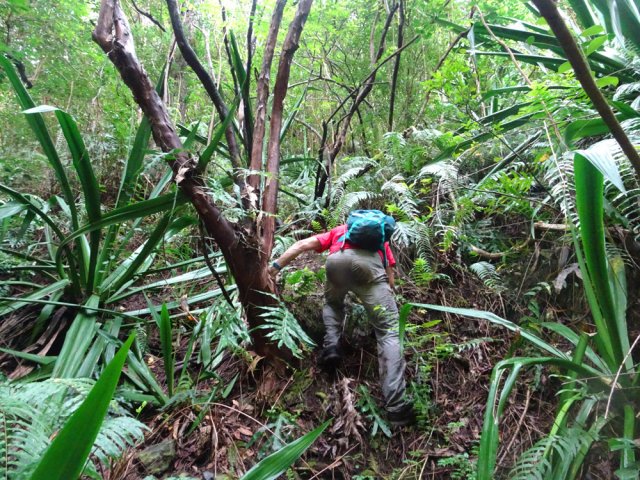 Voir le graphique ci-dessus pour avoir une meilleure idée de la pente