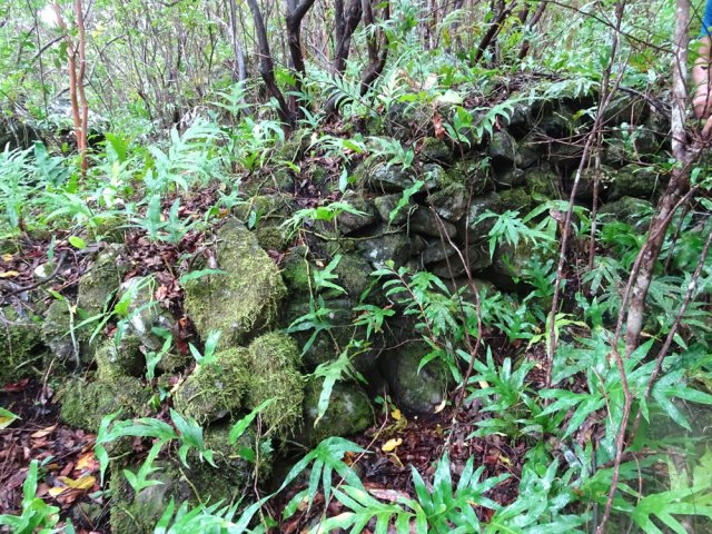 On tombe assez facilement nez à nez avec des vestiges d'enclos