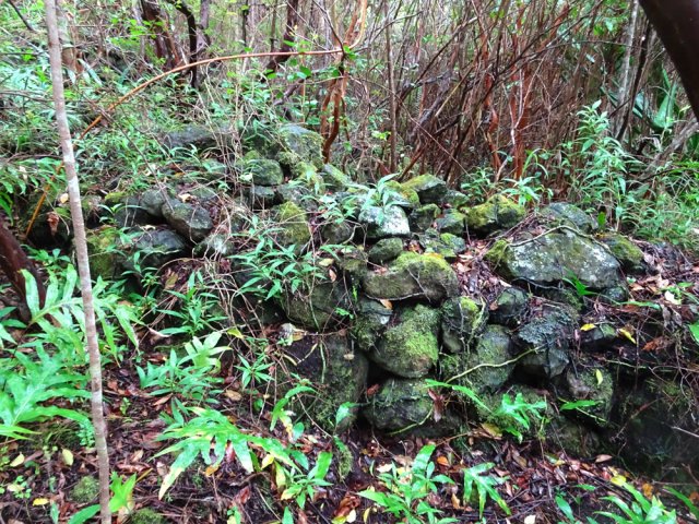 Hormis les murets, difficile de retrouver des traces de vie