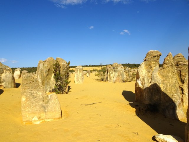 Quelques plantes ont pris racine à l'ombre des concrétions