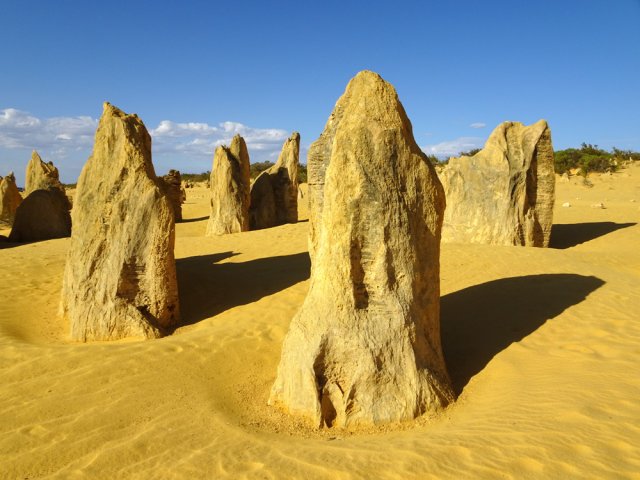 Le jaune est la couleur unique de ce lieu magique