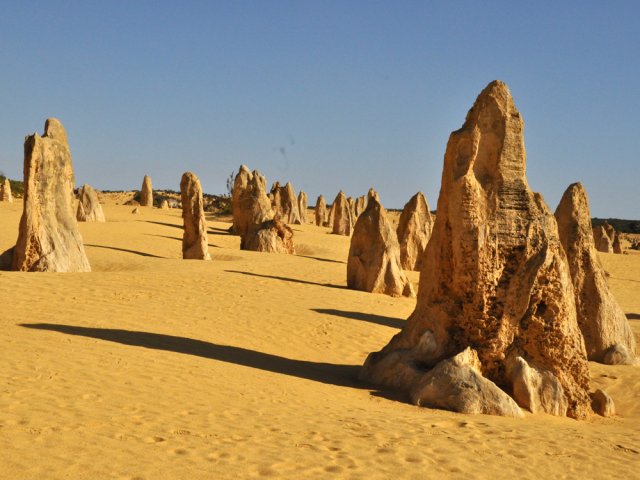 Certaines sont très pointues