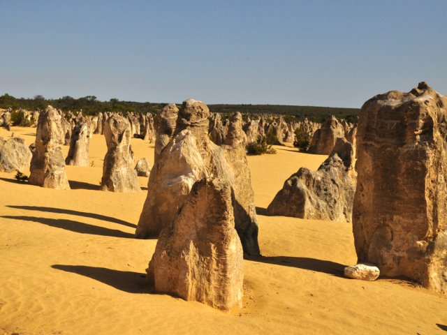 Importante concentration