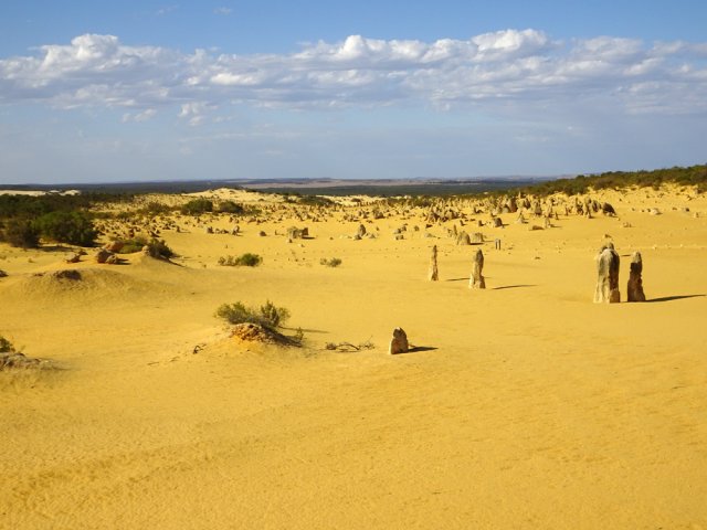 En approchant de la végétation les concrétions disparaissent petit à petit