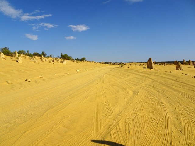 Beaucoup de traces de pneus pour pénétrer dans le désert des Pinacles