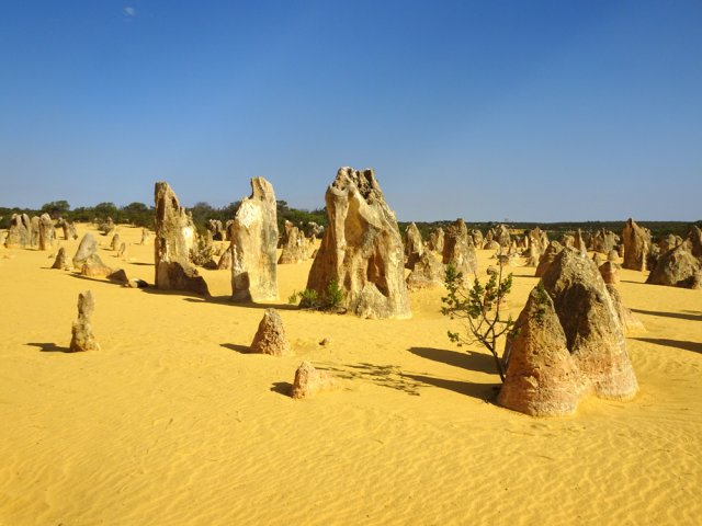 On peut commencer très vite sa collection de photos