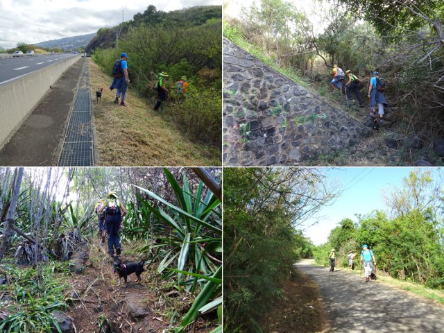 La jonction entre la RN1 et la Rue des Cotonniers