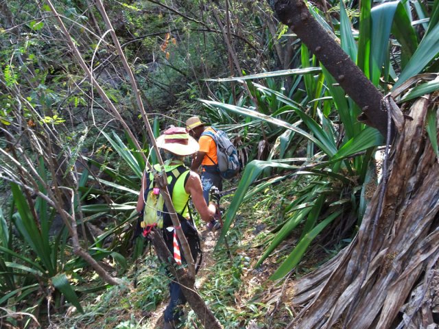 Courtes descente et remontée sportives vers la rive droite de la ravine