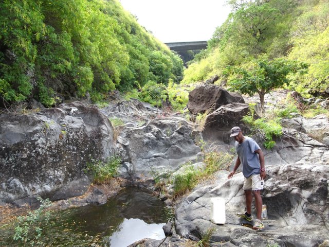 Près de 500 m aller-retour pour récupérer l'eau indispensable au maïs