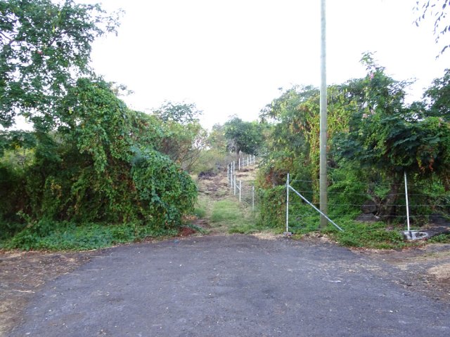 Poursuivre sur le sentier à la fin de la petite route