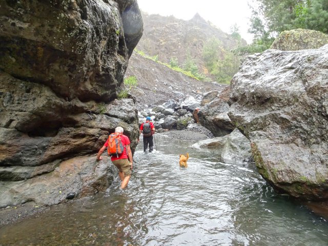 Jamais l'eau ne dépasse la hauteur des genoux