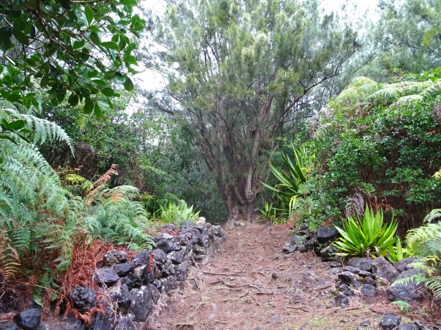 Sentier pentu mais très bien entretenu