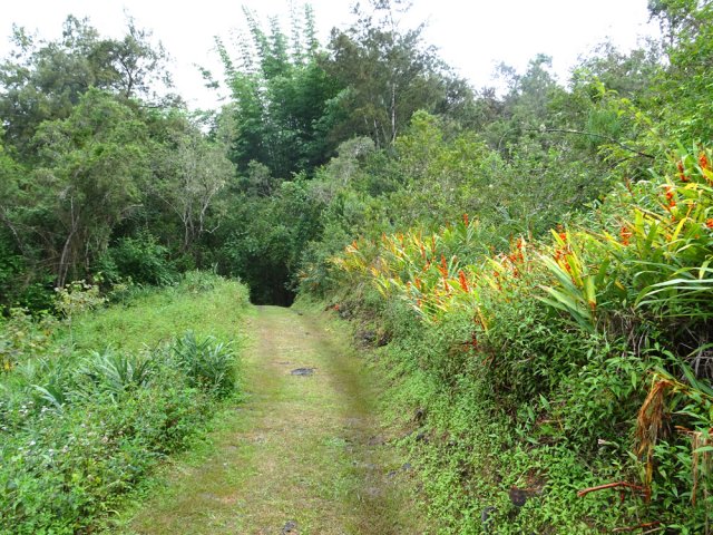 La piste après le croisement vers le Piton d'Anchain