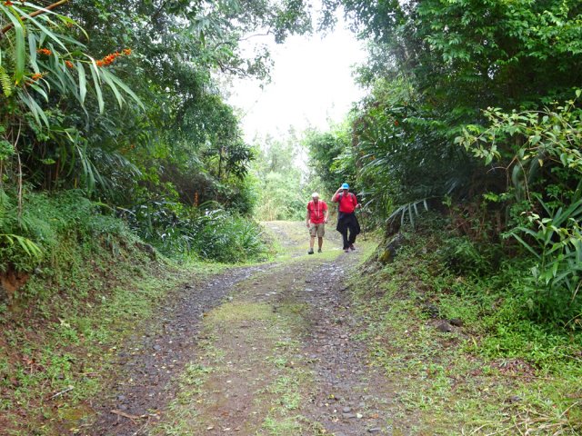 La piste est très empruntée pour les cultures