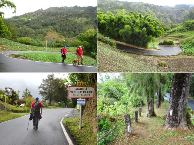 La remontée emprunte 2500 m de route goudronnée en forte pente