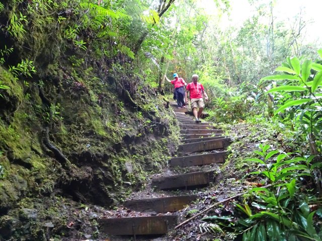 Forte descente vers une jolie ravine