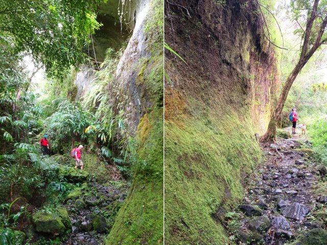 Beau canyon moussu d'un affluent de la Ravine du Piton d'Anchain