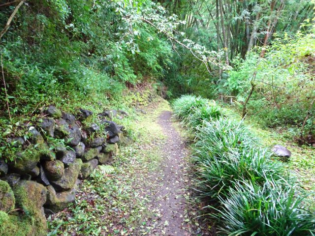 De nombreux vestiges de ce qui fut peut-être un îlet en bord de rivière
