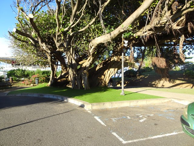 Quelques places de stationnement réservées mais difficiles à repérer