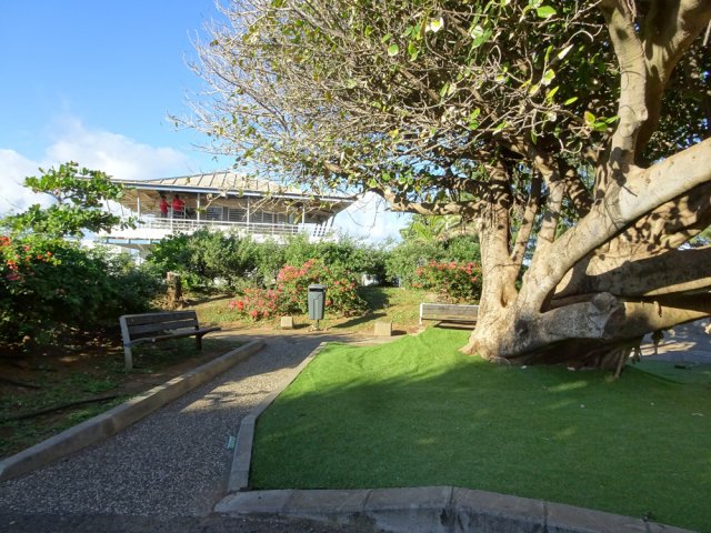 Prendre à gauche le long du banian