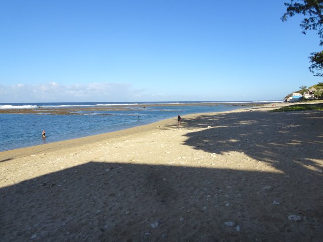 Une petite piste se termine au plus près de la plage