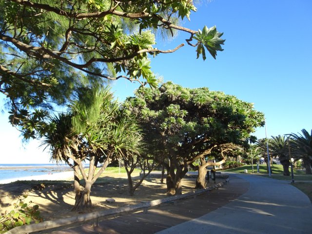 Beaucoup de verdure dans ce petit parc urbain