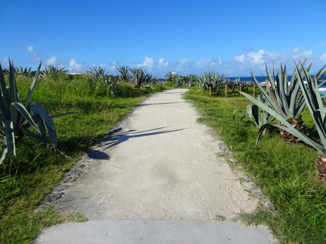 La piste menant à la Petite Baie