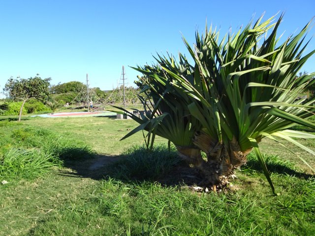 Une aire de jeux pour enfants