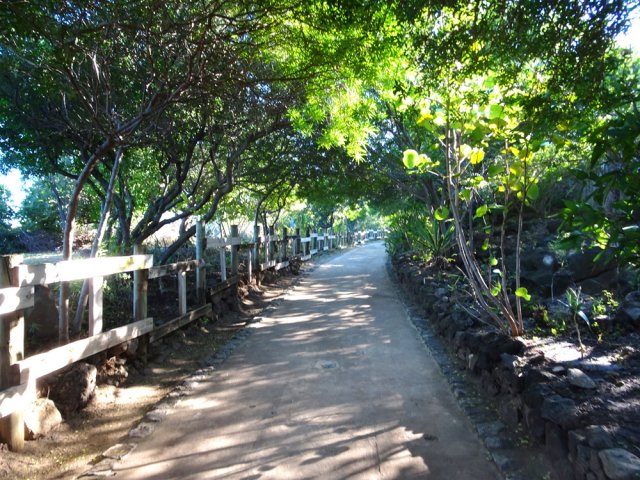 Au début, la piste est totalement plate